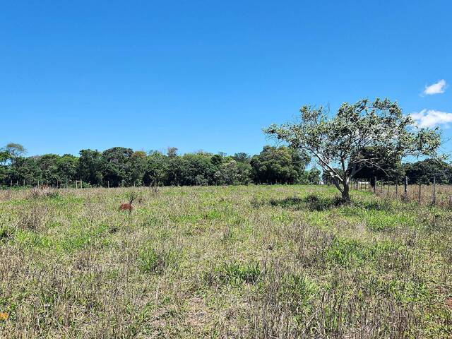 #39 - Área para Venda em Piraju - SP
