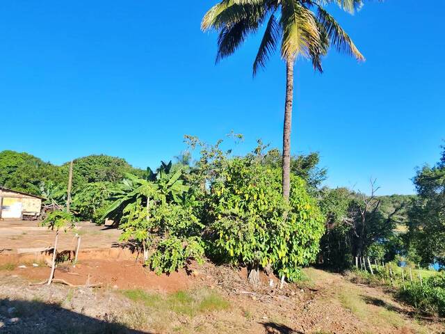 #50 - Sítio para Venda em Piraju - SP